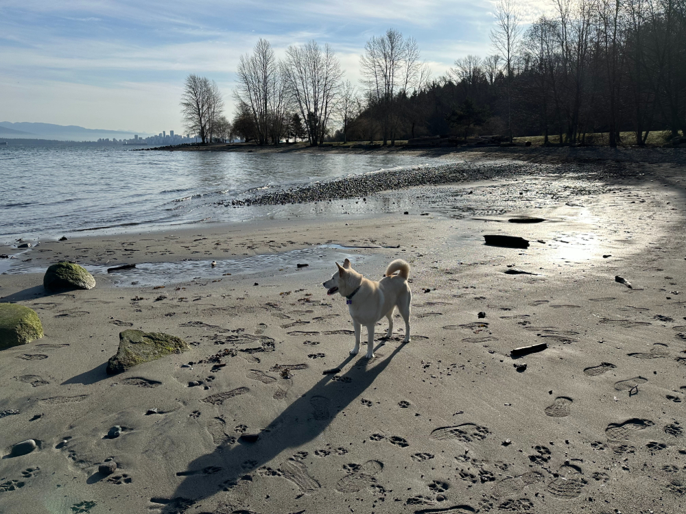 6 Ways Walking 10,000 Steps a Day Changed My&nbsp;Life